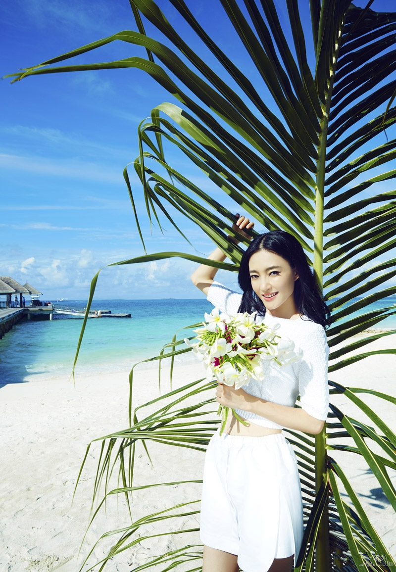 王丽坤温婉甜美靓丽写真图片图片