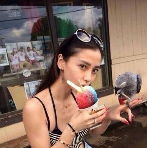 黄晓明生日图片：生日蛋糕片场调侃周迅胸大图片