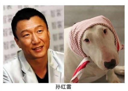 恶搞明显搞笑图片 那些年长得像明星的动物们图集图片