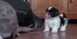 邪恶搞笑gif：没精神了？给你提提神！图片