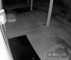 美女搞笑GIF动态图片邪恶动态图性感美女邪恶动态图片图片