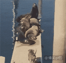 好好学吧 逗趣二人组鬼马丁乃钰姚逸翔搞笑GIF动图图片