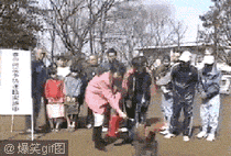 让人崩溃的恶搞图片