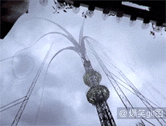 恶搞明显搞笑图片 那些年长得像明星的动物们图集图片
