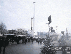 恶搞明显搞笑图片 那些年长得像明星的动物们图集图片