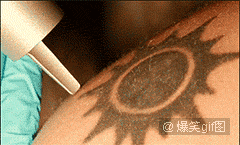 恶搞明显搞笑图片 那些年长得像明星的动物们图集图片