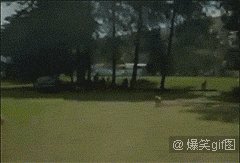 邪恶搞笑gif：没精神了？给你提提神！图片