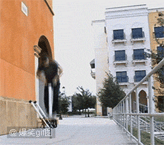 邪恶动态图片 搞笑GIF动图 非常搞笑的邪恶动态图图片
