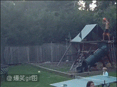 恶搞明显搞笑图片 那些年长得像明星的动物们图集图片