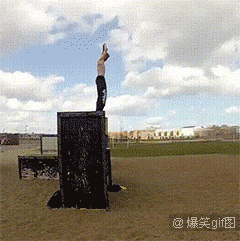恶搞明显搞笑图片 那些年长得像明星的动物们图集图片