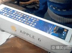 恶搞明显搞笑图片 那些年长得像明星的动物们图集图片