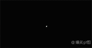 恶搞明显搞笑图片 那些年长得像明星的动物们图集图片