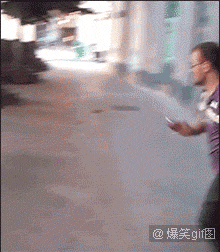 恶搞明显搞笑图片 那些年长得像明星的动物们图集图片