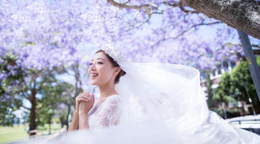 撒娇女王发杨乐乐何炅婚纱照  演绎苦情小三撒娇图片