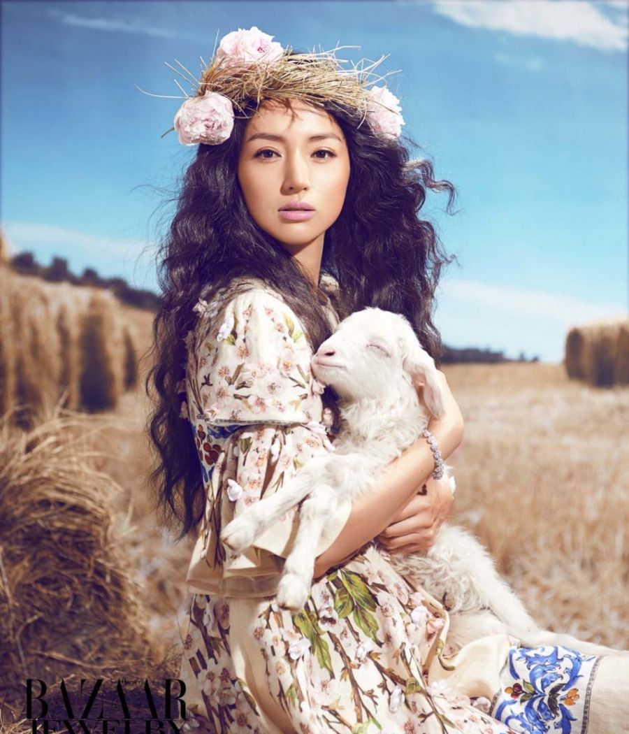 香格里拉 梦幻天堂图片