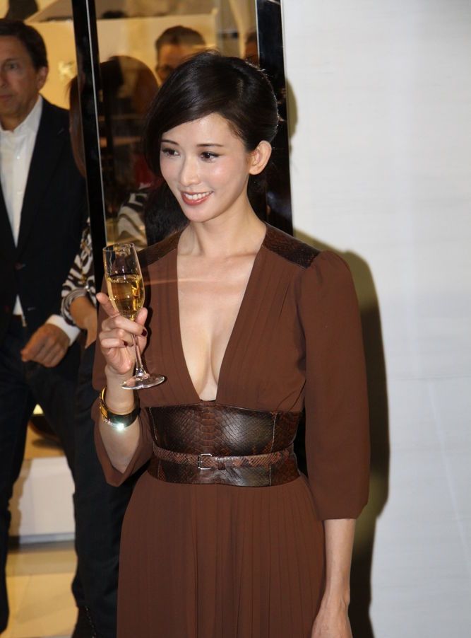 高圆圆林志玲同台比美 女神间的较量图片