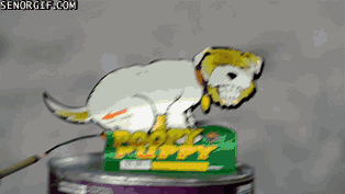 邪恶搞笑gif：没精神了？给你提提神！图片