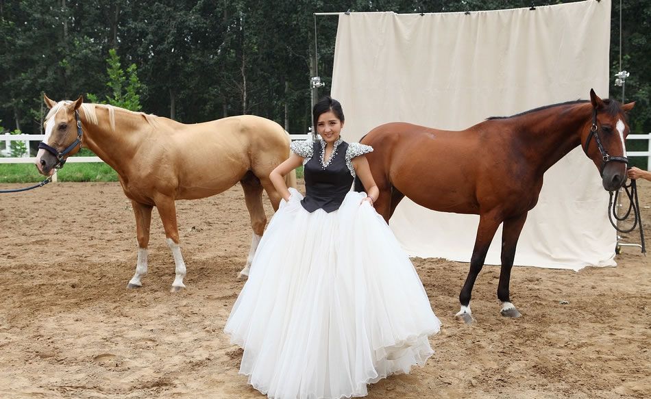 何洁赫子铭婚礼将近 婚纱拍摄选马场图片