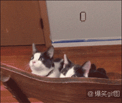 邪恶搞笑gif：没精神了？给你提提神！图片