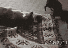 邪恶搞笑gif：没精神了？给你提提神！图片