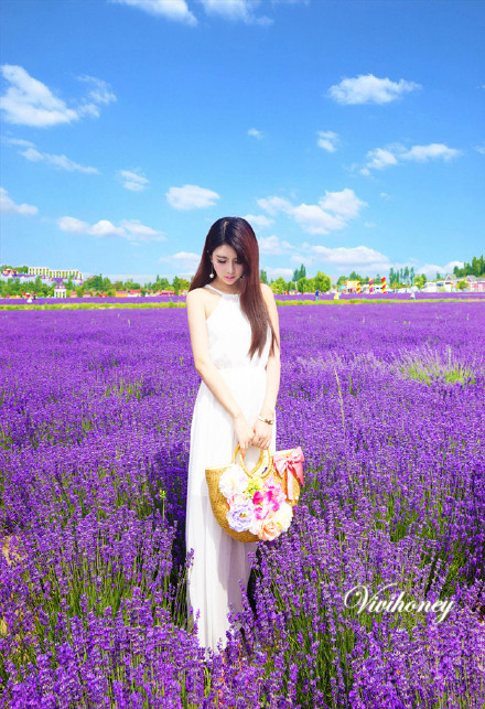 网络红人新锐模特夏小薇花田唯美清纯图片图片