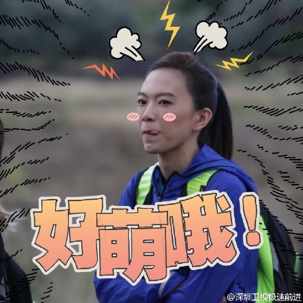 可爱猫咪带字表情包图片图片