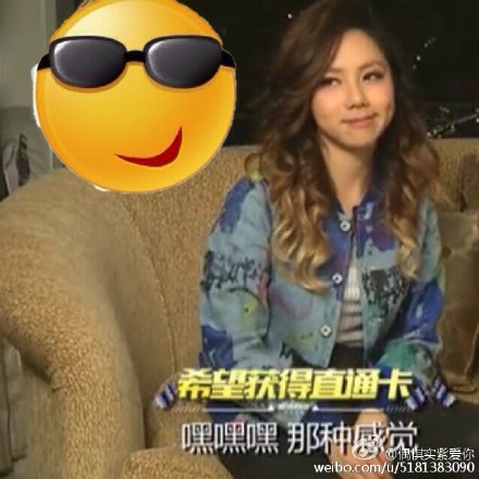 可爱猫咪带字表情包图片图片