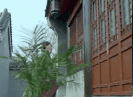 可爱猫咪带字表情包图片图片