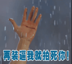可爱猫咪带字表情包图片图片