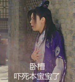 可爱猫咪带字表情包图片图片