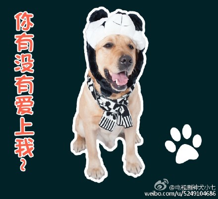 LOL九尾妖狐阿狸表情包图片