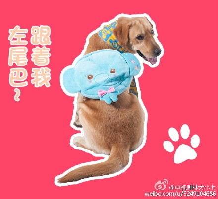 QQ表情包图片 QQ最新表情包图片图片