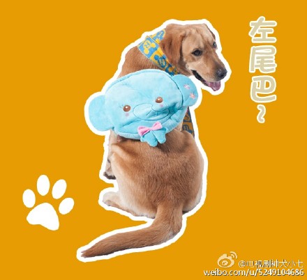 QQ表情包图片 QQ最新表情包图片图片
