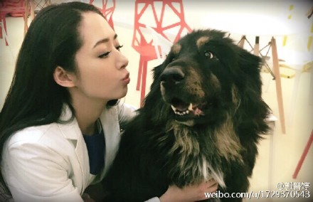郭碧婷遭高层揽腰l揩油 合影 “媚眼”回应图片