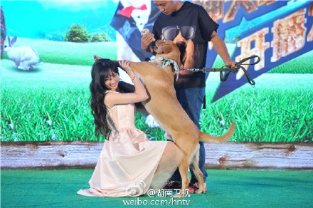郭碧婷遭高层揽腰l揩油 合影 “媚眼”回应图片