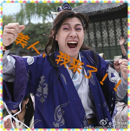 可爱猫咪带字表情包图片图片