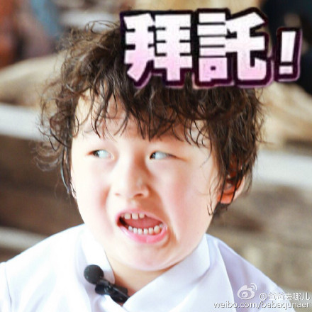 可爱猫咪带字表情包图片图片