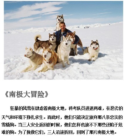 高清科幻路障变形金刚图片图片