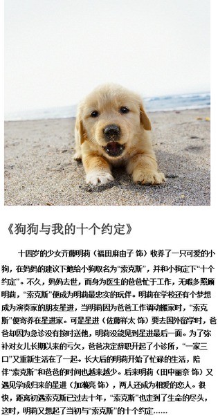 高清科幻路障变形金刚图片图片