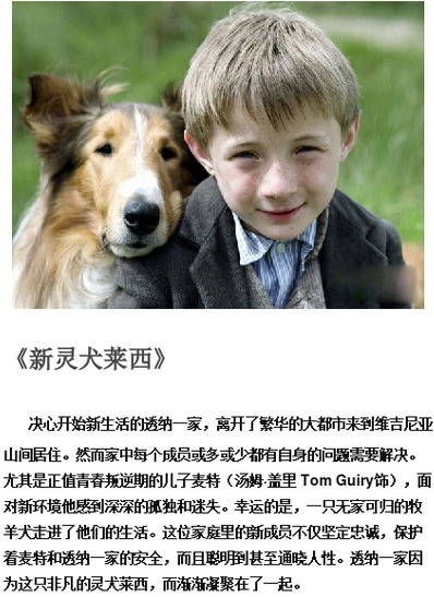 高清科幻路障变形金刚图片图片