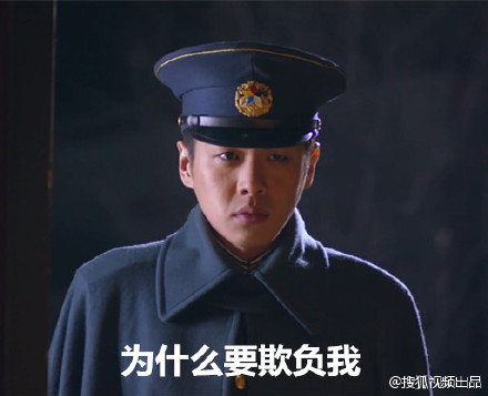 可爱猫咪带字表情包图片图片