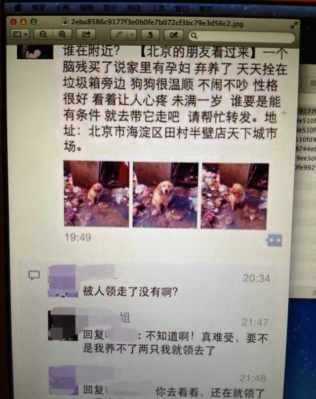 中国内地影视男演员陈学冬夏日海岛写真图片图片