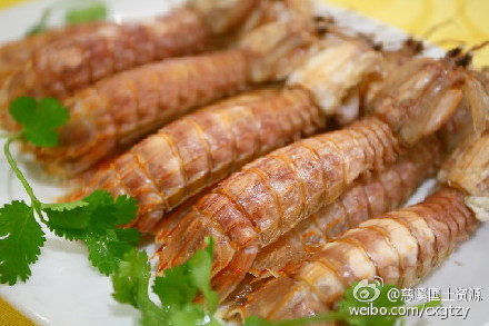 新西兰小龙虾图片新西兰美食图片图片