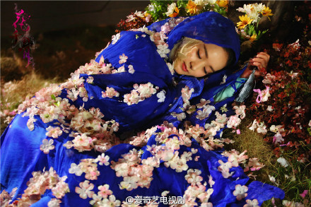 赵丽颖图片