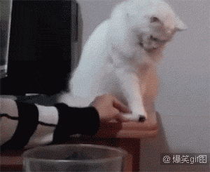 好好学吧 逗趣二人组鬼马丁乃钰姚逸翔搞笑GIF动图图片