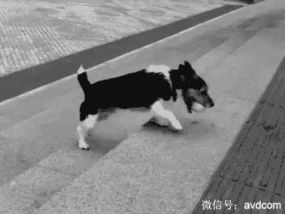 真心英雄陈学冬可爱表情擦玻璃动态搞笑GIF图片图片