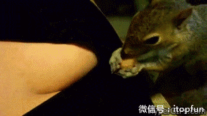 邪恶搞笑gif：没精神了？给你提提神！图片