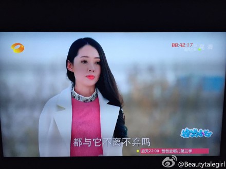 搞笑萌宠喵星人趣图图片：用黄金分割线来分析猫为什么那么完美图片