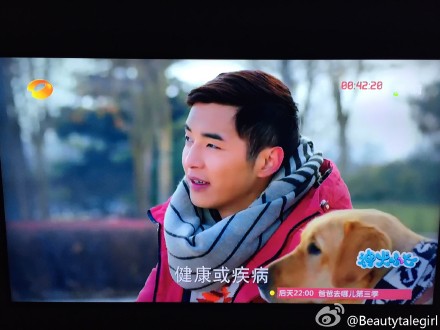 可爱萌萌哒萌宠柯基图片图片