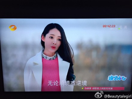 精选可爱萌宠汪星人图片 十二生肖狗图片图片